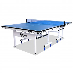 TT Table Champion Plus