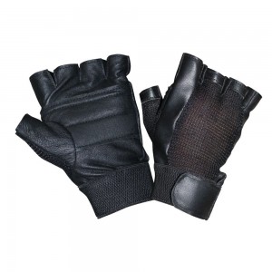 Koxtons Sports Gloves – Economy