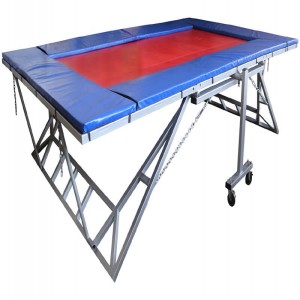 Trampoline - Standard